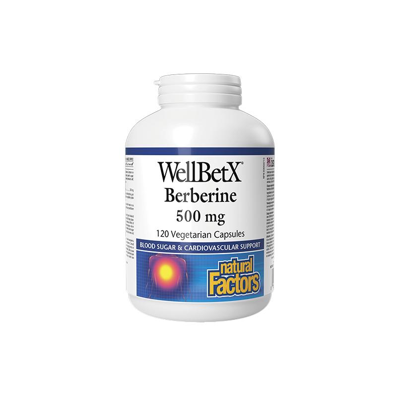 WellBetX Berberine Natural Factors 500mg N120