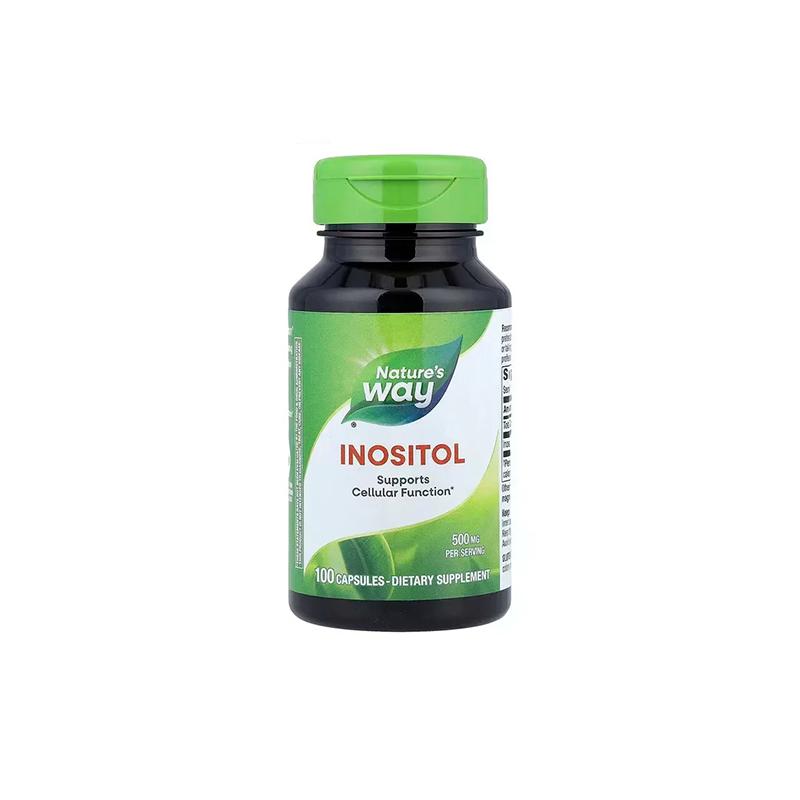 Inositol Nature's Way N100